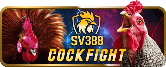 Tích lũy điểm VIP tại okking2 nhà cái